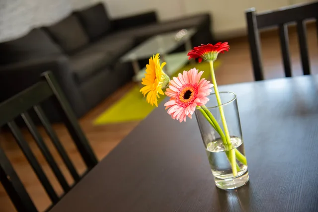Apartmán 3 – fotografie 3