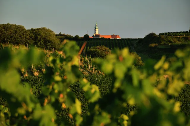 Zámek nad vinicemi